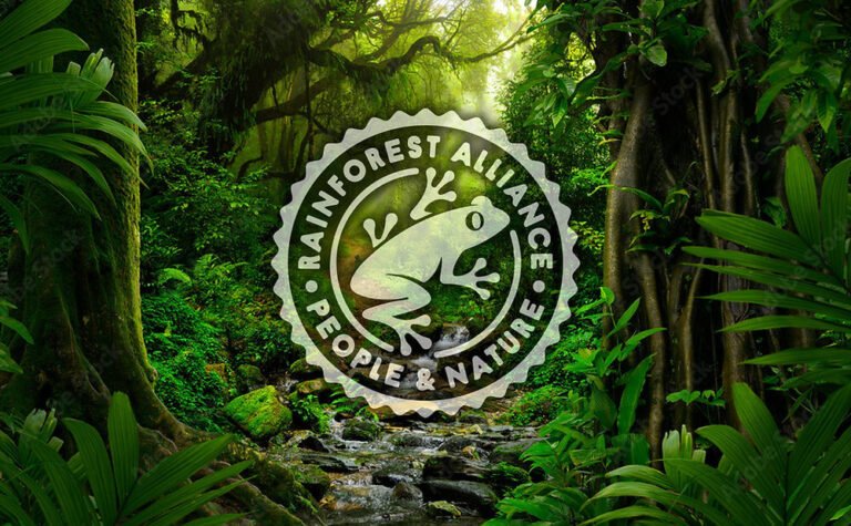 Follow the Frog – Rainforest Alliance 2012