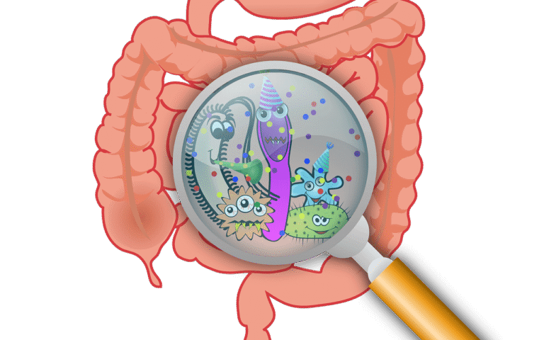Gut microbiome