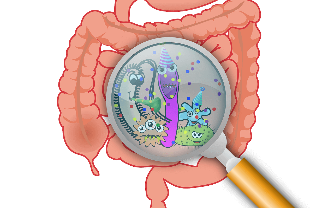 Gut microbiome