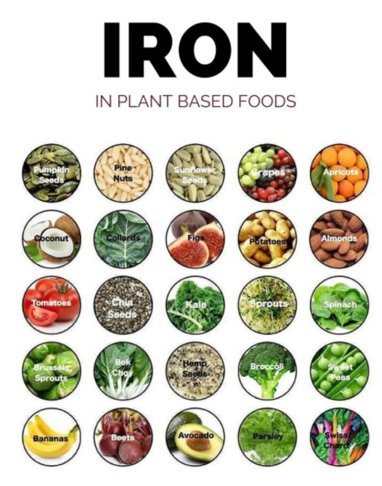 Iron Sources in Plants