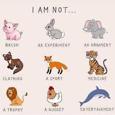 Animals are not resources