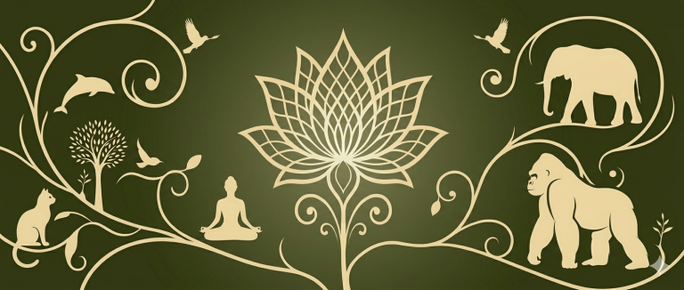 Lotus Wisdom