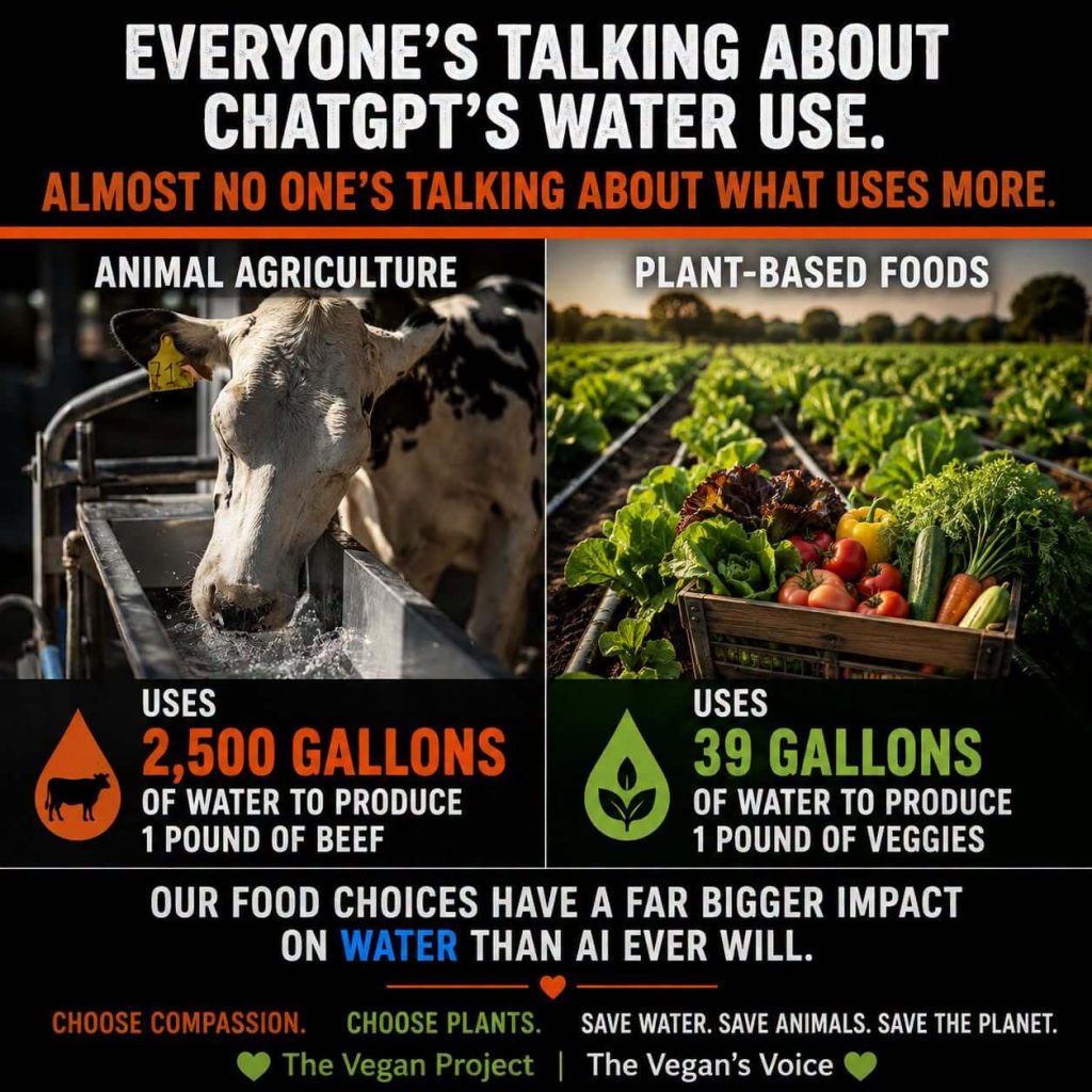 Animal Agriculture Vs Plant Based Diet in Water usage